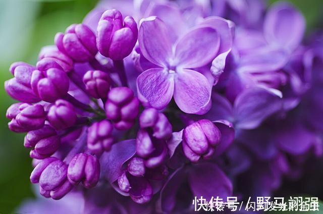 食物|便秘很苦恼,专家四类食物停止使用,润肠通便很简单