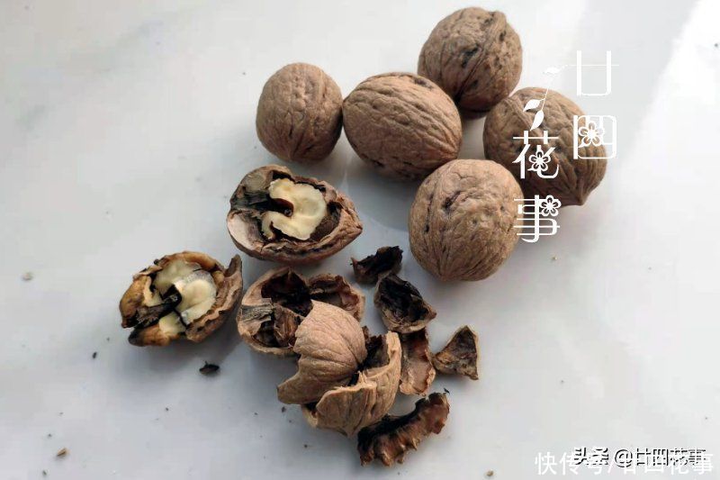 春节常见4种“废壳”，是养花“宝贝”，透气疏水，补肥效果好