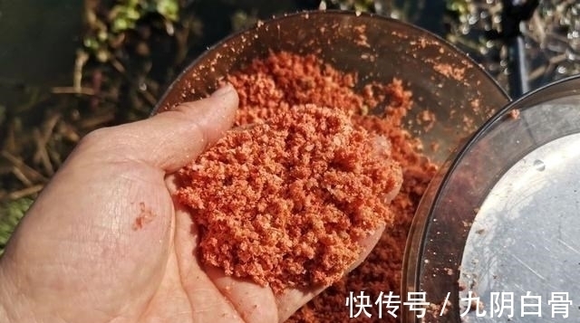 天网|红虫颗粒的另类用法，这样加工一下再打窝，鲫鱼进窝会更快！