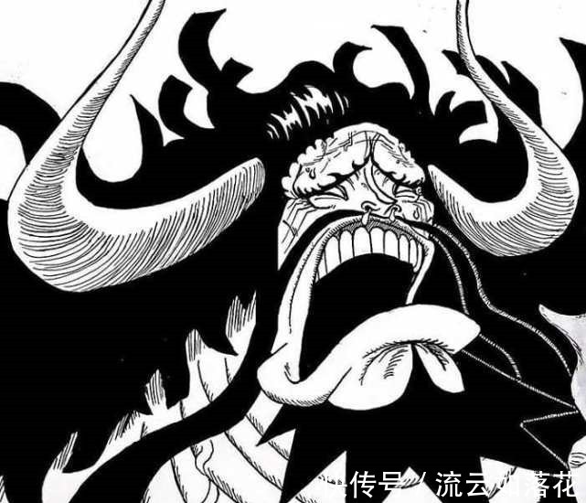 表情包|海贼王的表情包,尾田贡献了一部分,网友制作了一部分,别看女帝