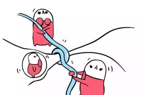 输卵管|生了孩子,医生问需要上环还是结扎,怎么选?这样说的男人值得爱