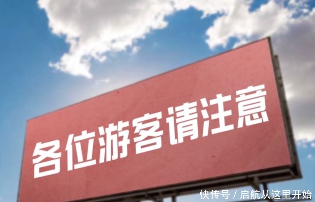 《奔跑吧》导演原班人马打造又一档爆款新综艺,张雨绮陈学冬加盟