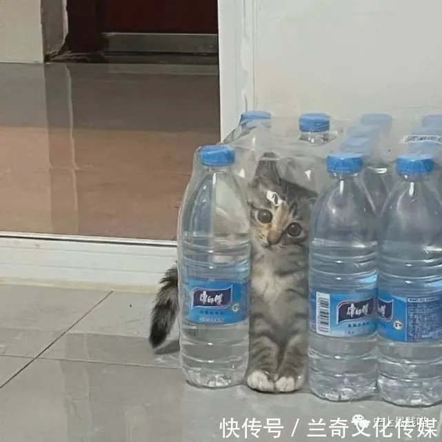 平台|“各大平台的网友都有哪些病？”哈哈哈哈哈看到最后笑吐了！