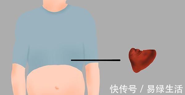 栗子|一切大病从脾衰开始,脾的“恩人”被找到了,带着吃,养好脾