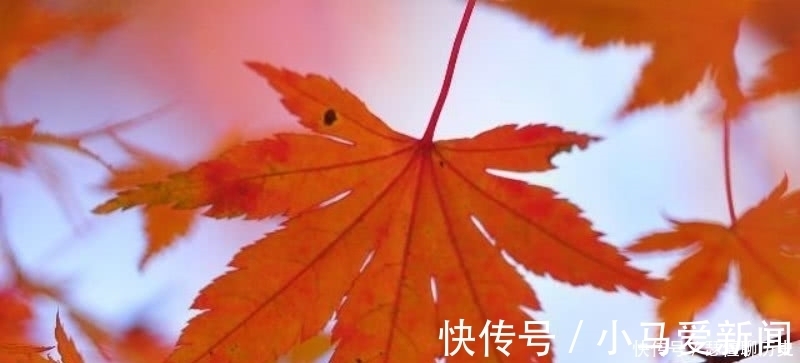 唯美|杜牧最经典的一首诗,美得令人心醉,成为描写秋天最唯美的一首诗