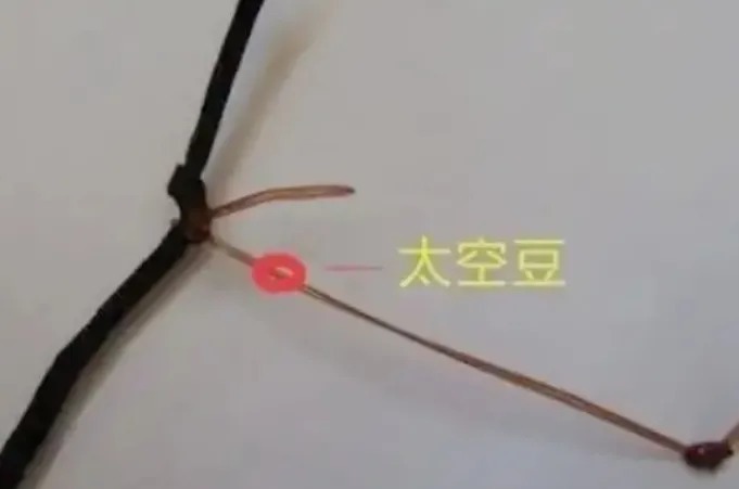 小小太空豆却有大讲究，大多数钓鱼人不知这“新式”用法，建议都看看！