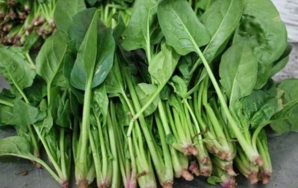 头发|菠菜和此物一起吃,不咳嗽了,头发光泽,女性不想一脸皱纹可试试