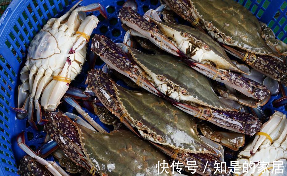 渔民|入秋买梭子蟹：个头大未必好，老渔民教你绝招，个个“顶盖肥”