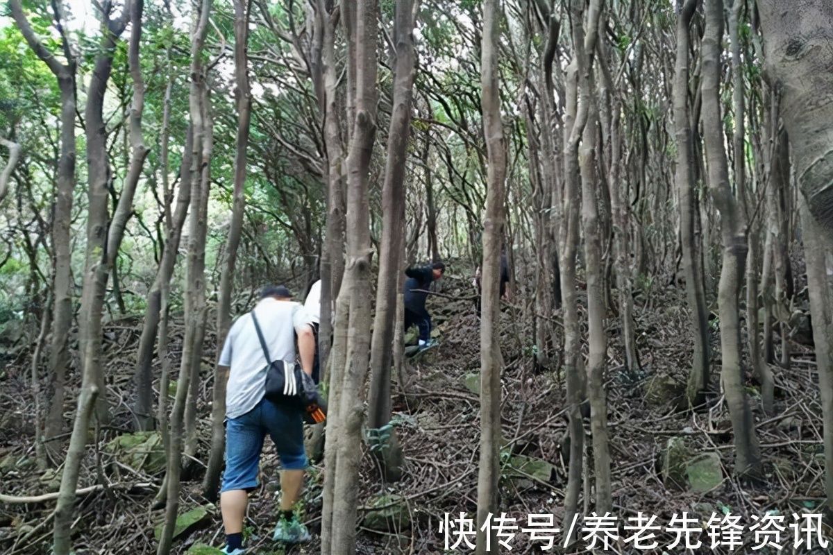 第三忌|不管什么时候开始养生都不晚,为了长寿牢记三禁忌、两勤快