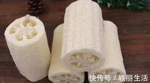 养花烂根不是大问题!土里埋点它,根须刷刷长满盆,越来越壮实