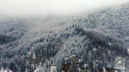 宝山|看雪啦！开州雪宝山化身雪域仙境