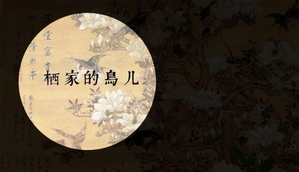 窒息|美到窒息!这位中国姑娘设计的珠宝,刷爆了朋友圈!