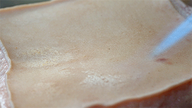 日食记｜脆皮五花肉好吃下饭的小秘诀，快快学起来