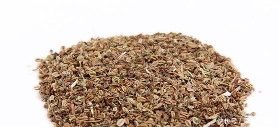 一种野草是蛇的天然“床铺”，开花美价值高！野外遇到最好别碰！