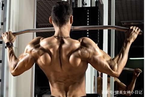 训练|对力量训练不了解,这几个动作教程,非常适合健身初学者