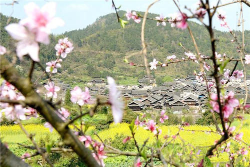湖南有一座身处大山的古村落，形状宛如太师椅，是春游的好去处
