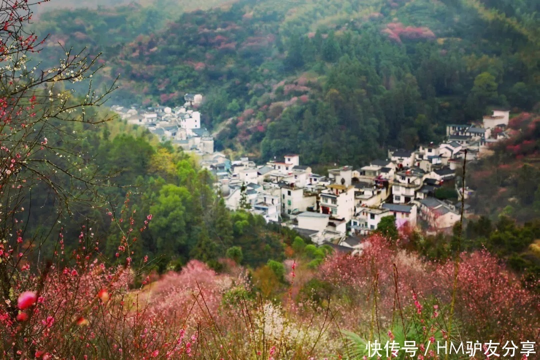 中年|春天最适合小住三五天的12个地方，错过这些美景，又要等一年