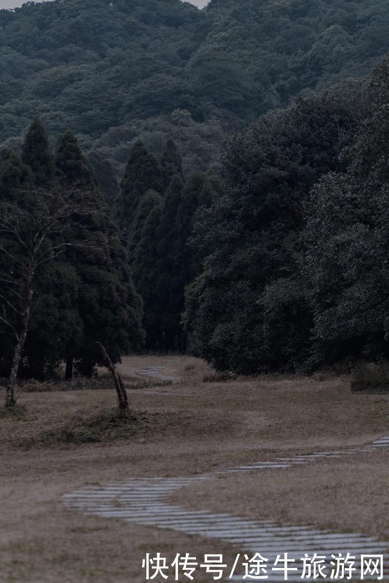 冬日|广西梦幻冬日旅行，一眼窥尽玉林小城风光