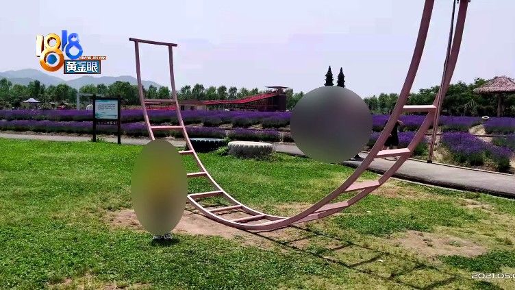 安全带|大人“参战”跷跷板，孩子牙齿受了伤