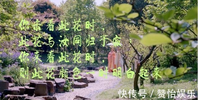 大慧#王阳明的“看花论”,真的是唯心主义论调吗?我们该如何去理解?