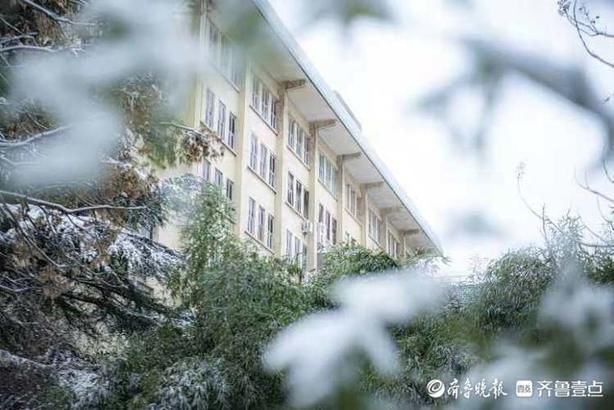 一下雪，山师大老校更显诗意盎然