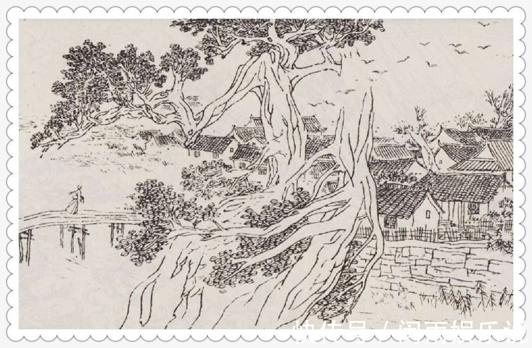 玉娇$新聊斋|16岁少女洗衣落水,回家不久怀孕,生下的儿子养在水缸