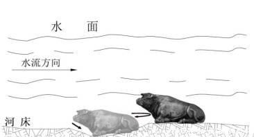 《河中石兽》说重物掉入河中是往上游走,为什么?有科学依据吗?