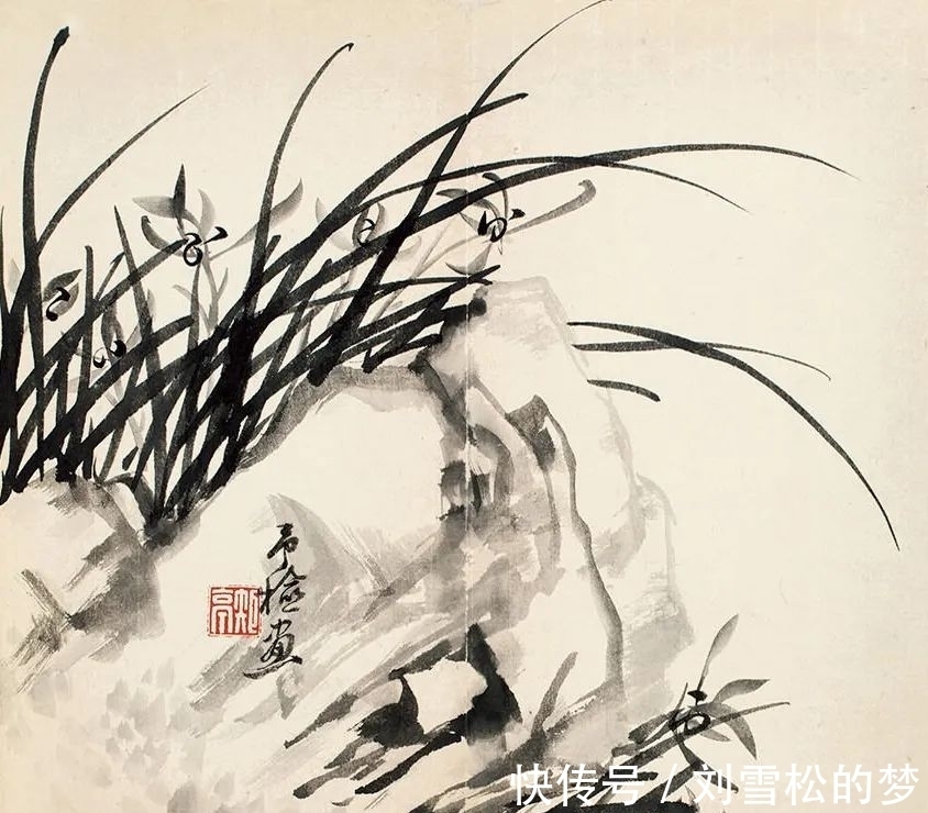 姿态|清代蒋予检笔下的兰花:纵横偃仰,别有姿态