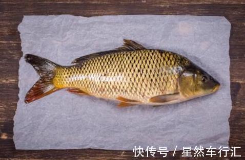 长江刀鱼|4种“名声大噪”,味道却很差的鱼,大部分人吃的只是“面子”