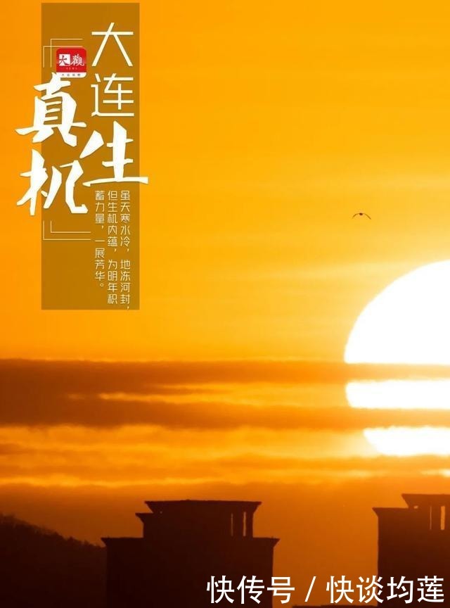 大连|大雪,大连,大生机