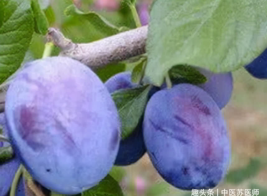 美容|想肌肤变好,不可忽略的食物,滋养肌肤、润肤美容,谁吃谁年轻