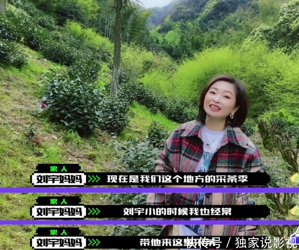 《创4》选手家境差距大，刘宇家有茶山，小九露心酸，张欣尧励志