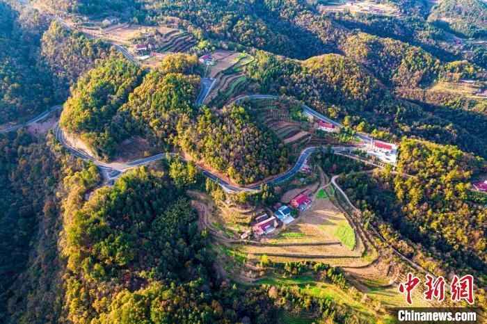 秋色|三峡百里荒：昔日“鸡肠路”如今变坦途