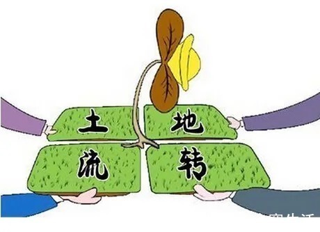 宅基地|农村土地合法流转应该注意哪些事项?史律师来告诉你!