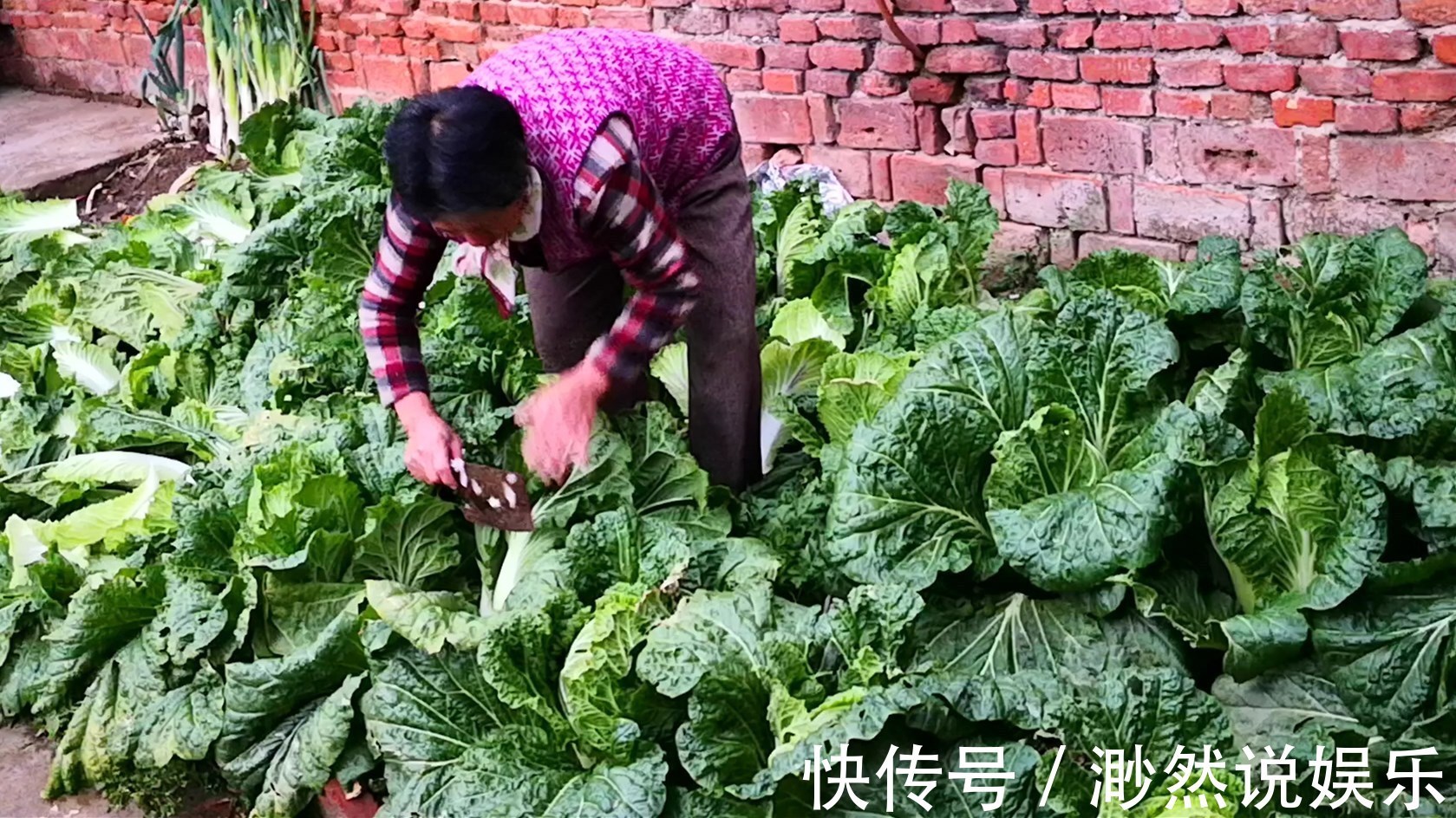 不管是保存萝卜还是白菜，学会此方法，放一冬天都新鲜，特方便！