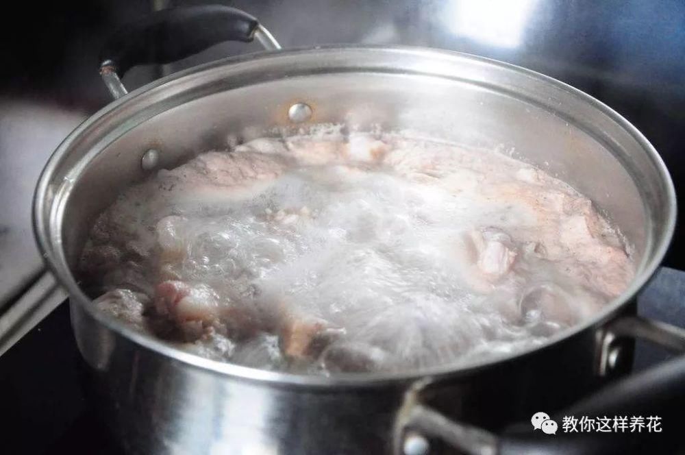 老花匠|老花匠:扔4种“东西”,就是扔钱,比花肥还好用,不花钱!