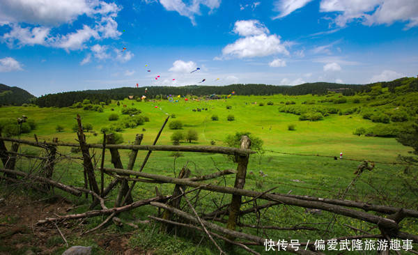 一票到底、一线多游!乘专列游武隆轻松又自在