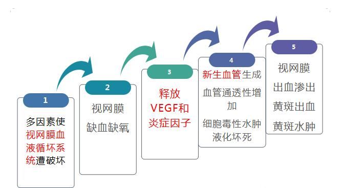 眼睛|眼睛长黄斑别大意！延误治疗时机当心失明