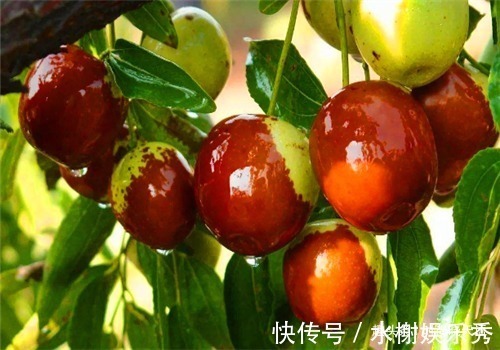 冬枣|女性想要身体好,常吃4种食物,排出毒素,滋阴降火,增强体质