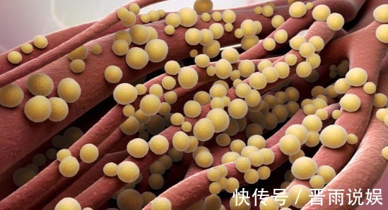 身亡|14岁少女使用卫生棉,却意外身亡,专家家长都不教怎么用