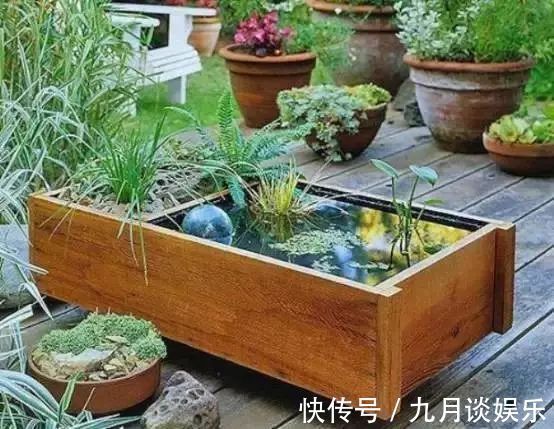 不花钱在阳台、露台上打造一个迷你池塘,好看到爆!