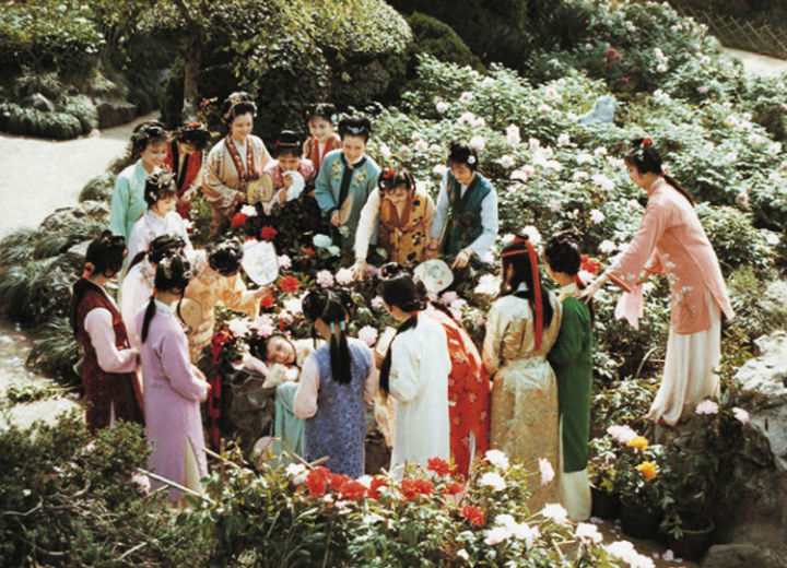 司棋&《红楼梦》中最自私最不能用的丫鬟,成事不足败事有余