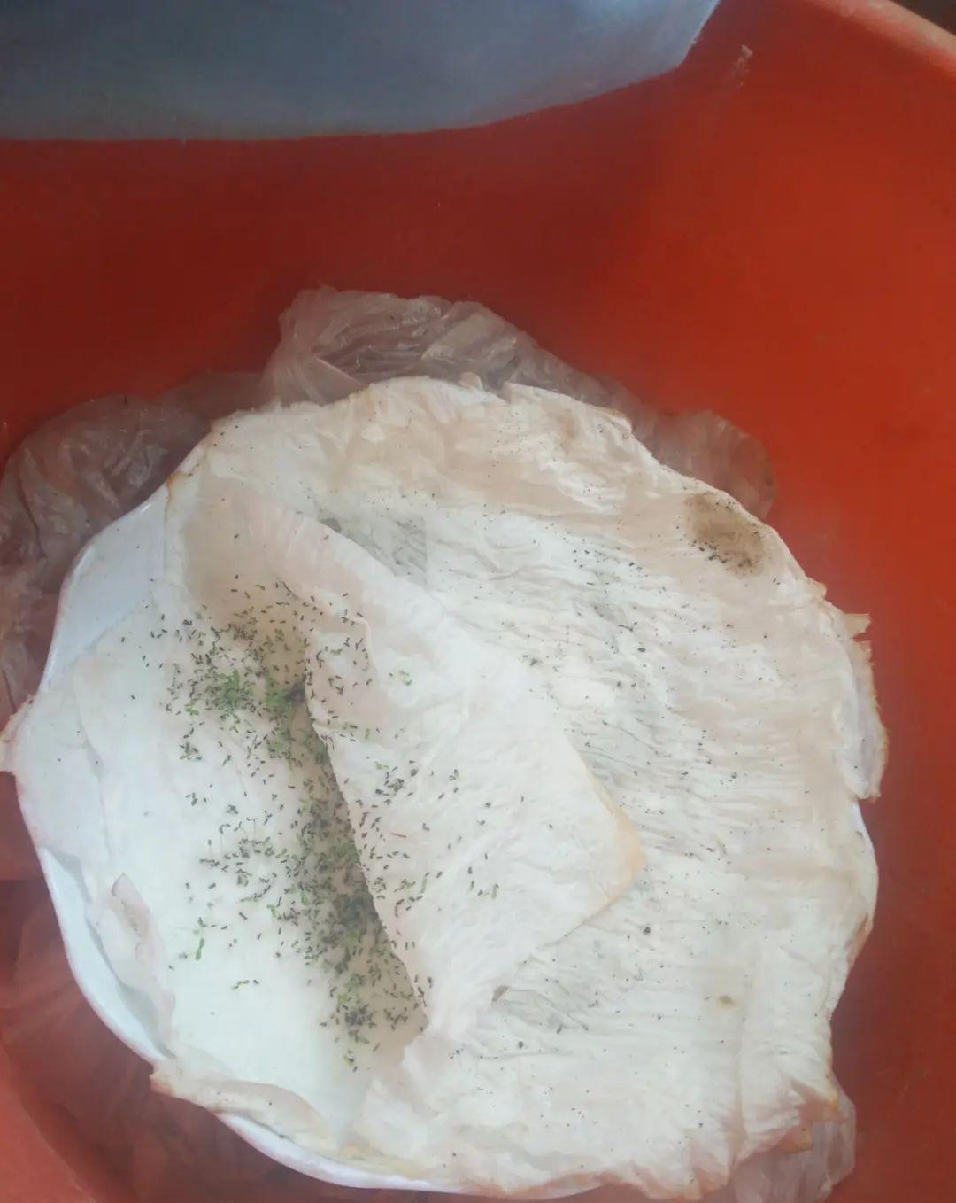 塑料瓶|冬天扦插,用了这3种神器,成活率100%