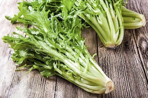 清明時節，你不知道的養生秘訣