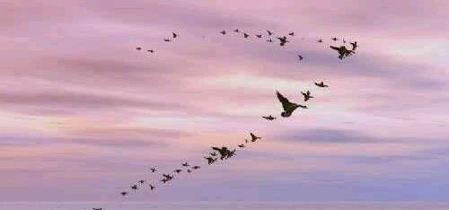 成汤|成汤之治告诉你,传说中汤商的前身殷朝在历史上是真实存在的