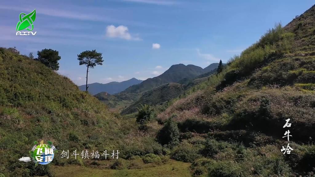 快看！安溪这里有奇石，上面刻有“圣旨”……