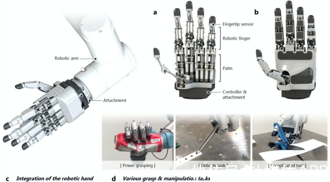 关节|轻松抓鸡蛋、剪纸、夹芯片，这只“机械爪”堪比人手