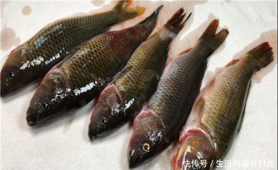 无论煎鱼还是煎豆腐,一定不能直接下锅,多做一步,不粘锅不破皮