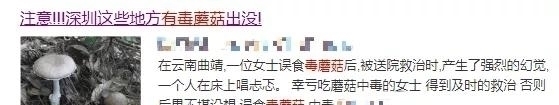 野蘑菇|警惕这道“菜”不要随便吃,最近已致多人死亡