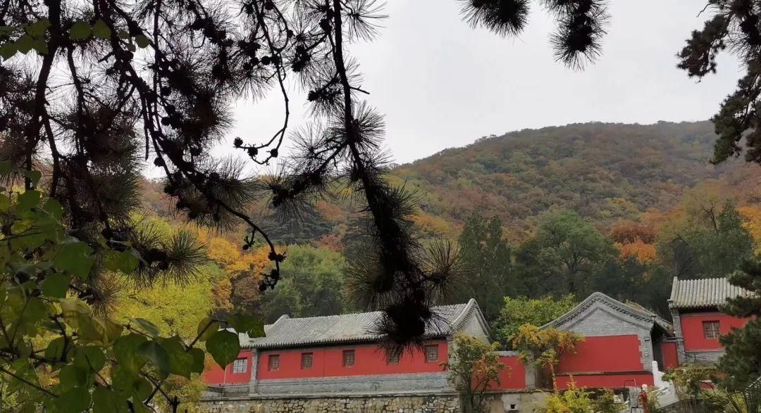  门头沟|古寺有灵知秋日，芳华无限在戒台——到门头沟最美的寺庙打卡